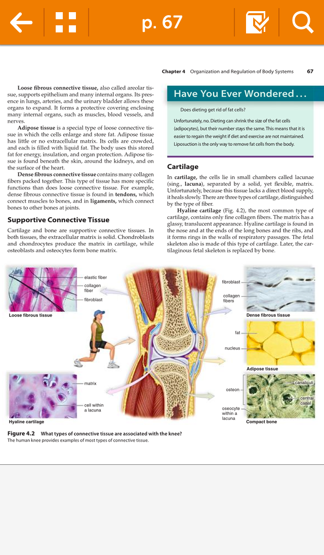 Textbooks and Solutions On Your Phone
